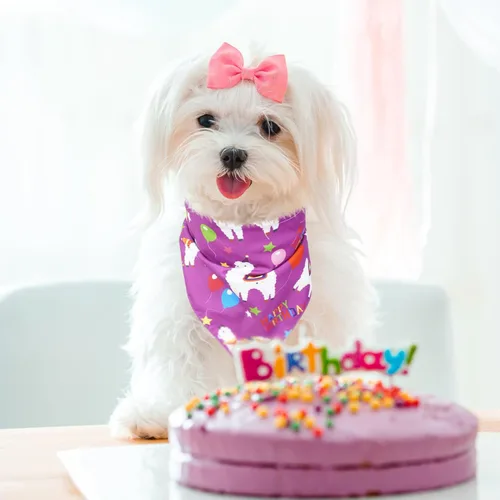 Vista 6 de PUPTECK Bandana de cumpleaños para perro, traje de 4 piezas, bufanda de babero triangular suave para mascotas, suministros de decoración de fiesta