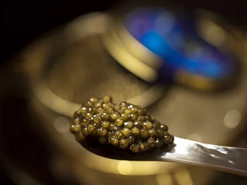 Vista 2 de Caviar de esturión Ossetra 250g (8.8 oz)
