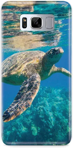 Vista 18 de Inspired Cases - Compatible con iPhone 8 Plus - Funda protectora con textura 3D para Apple iPhone 8 Plus - Tortuga marina submarina
