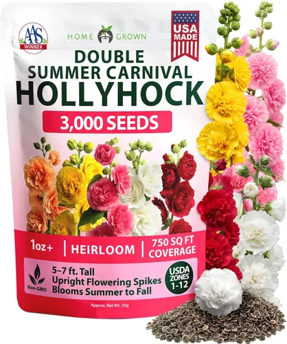 Vista 154 de HOME GROWN Bachelor Button Tall Mix 700+ Semillas de flores Centaurea