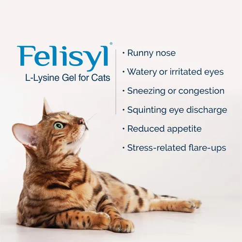 Vista 4 de Felisyl Gel de L-lisina para gatos y gatitos (5 onzas) – Sistema inmunológico, respiratorio y apoyo para la salud ocular. Reduce los estornudos