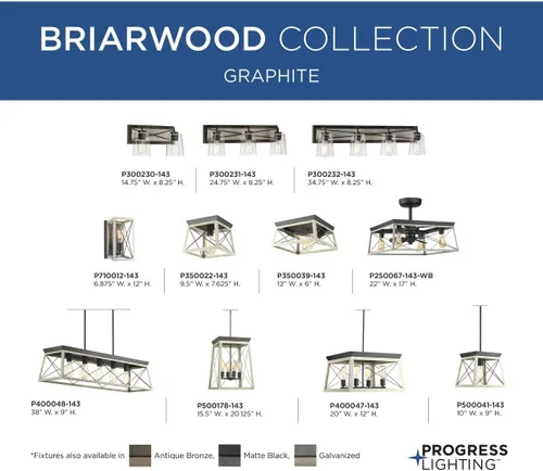 Vista 5 de Progress Lighting Briarwood Collection - Lámpara de techo de 1 luz, lámpara de techo empotrada para luces interiores de cocina, pasillo, dormitorio