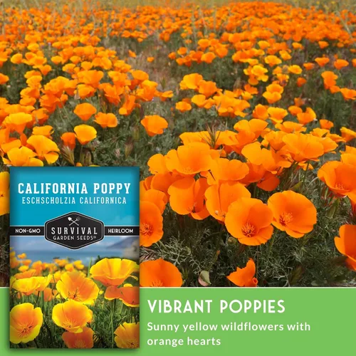 Vista 4 de Survival Garden Seeds - Semillas de amapola de California para plantar - 1 paquete con instrucciones para cultivar plantas Eschscholzia Californica