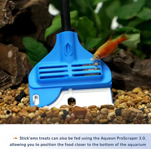 Vista 7 de Aqueon Stick'ems - Golosinas de pescado para mascotas liofilizadas que aumentan el color, 0.42 onzas