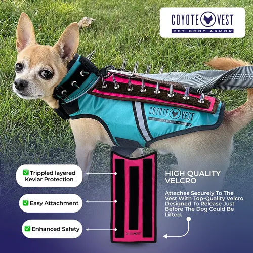 Vista 4 de HawkShield - Almohadilla para CoyoteVest o chaleco de espigas, chaleco de arnés protector para perro, complemento para proteger a tu mascota de aves