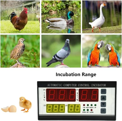 Vista 6 de Sistema de control automático para máquina de incubadora de huevos y máquina de control de temperatura y humedad (XM-18ZP)