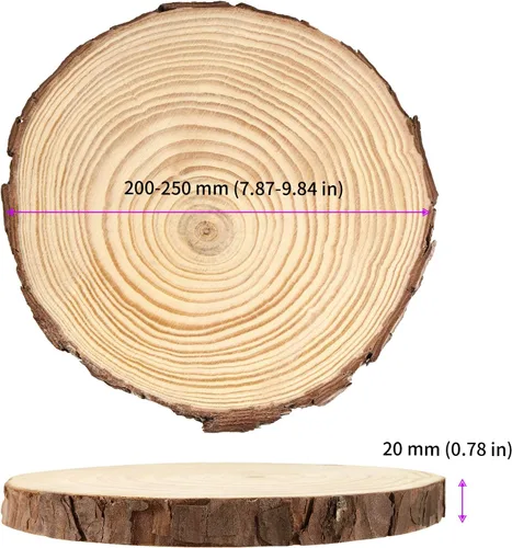 Vista 2 de JEUIHAU 6 piezas de rebanadas de madera natural sin terminar de 8 a 10 pulgadas, discos redondos de madera para corteza de árbol, círculos de madera