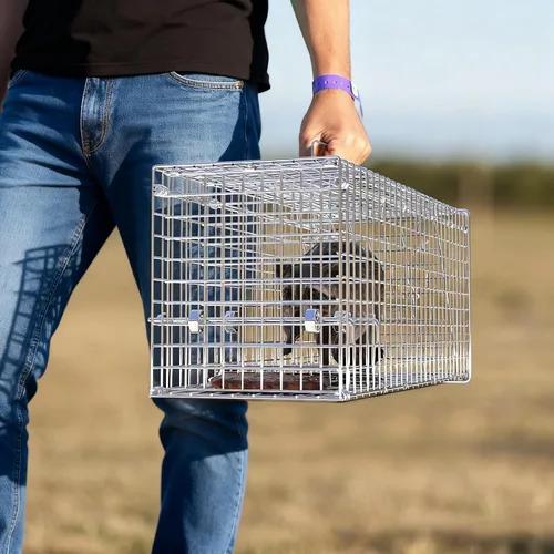 Vista 5 de Jaula de trampa para animales vivos y humanitarios, trampa plegable para Mapaches Zarigüeyas Zorrillos Salvaje Gatos Ardillas Conejo 25.59Inch