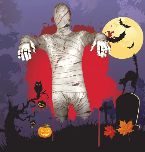 Vista 4 de Morphsuits Men's MPMU-US, Mummy