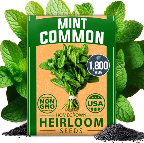 Vista 84 de HOME GROWN Semillas de zinnia rosa – 300 zinnias Luminosa 0.5g, semillas anuales de flores fáciles de cultivar para plantar al aire libre para 2026