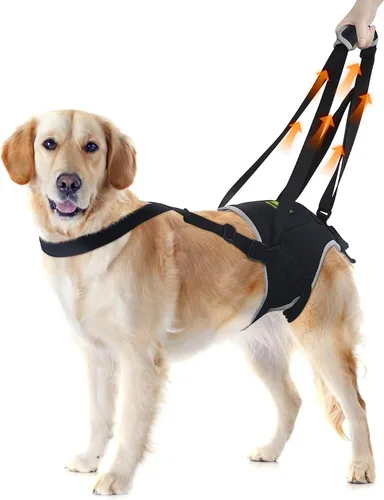 Vista 22 de Codera para perros gigantes, soporte para hombros y articulaciones para adultos mayores Diseñado para razas gigantes que necesitan apoyo adicional
