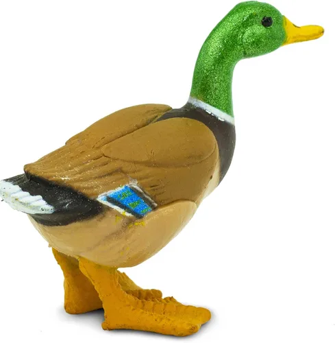 Vista 8 de Safari Ltd. Figura de pato real pintada a mano, realista de 3 pulgadas, juguete educativo divertido para niños, niñas y niños a partir de 3 años
