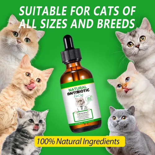 Vista 7 de Antibióticos naturales para gatos, suplementos para mascotas, 2 onzas líquidas/1 paquete de multivitamínicos para gatos, antibiótico para gatos