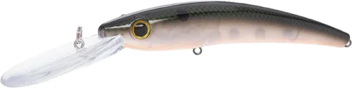 Vista 12 de Bill Lewis Señuelo de pesca sin labios, realista, de arrastre preciso para lucioperca