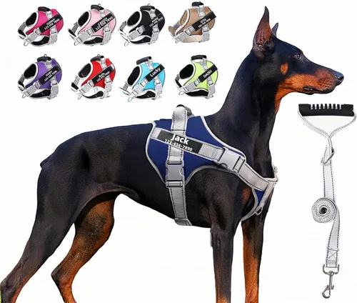Vista 7 de Juego de correa de arnés para perro personalizado sin tirones con número de teléfono con nombre personalizado Reflective Breathable Heavy Duty