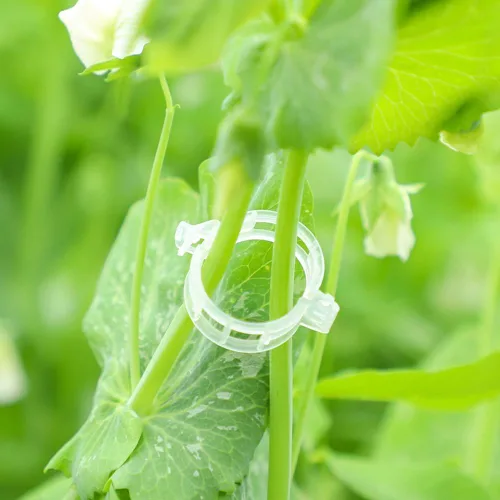 Vista 3 de 80 clips de entrenamiento de tallo de plantas, ramas dobladoras de brotes de plantas de bajo estrés, clips de soporte para plantas, abrazaderas