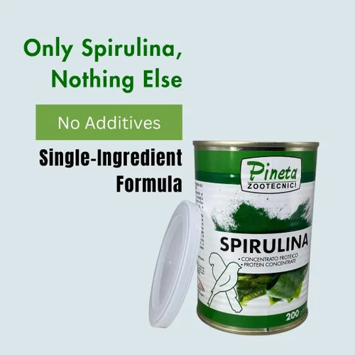Vista 4 de PINETA Spirulina en polvo orgánico 7.05 oz – Suplemento de espirulina para aves canarias y granívoras – 100% natural, suplemento de apoyo