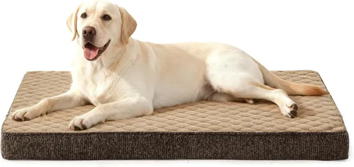 Vista 17 de JOEJOY Cama ortopédica para perros extra grandes