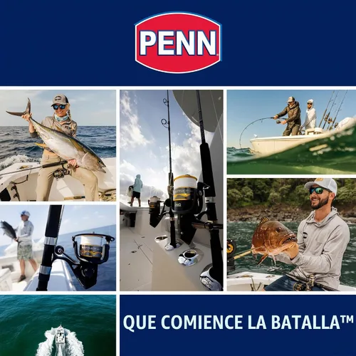 Vista 8 de Carrete giratorio y caña de pescar PENN Pursuit III & Pursuit IV