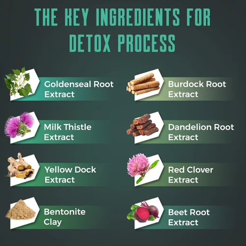 Vista 3 de Gomitas de limpieza Detox - Limpieza de hígado, intestino, riñón, desintoxicación y reparación, limpieza rápida y efectiva de todo el cuerpo, lo
