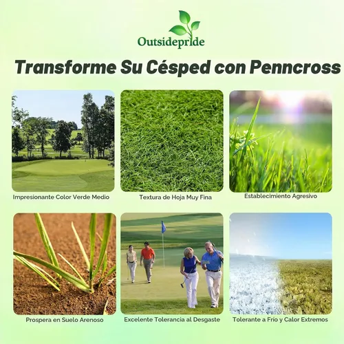 Vista 2 de Outsidepride PC2.0 (Penncross) - Semillas de césped dobladas rastreras – 1 libra de grado de campo de golf premium, densas y resistentes al desgaste