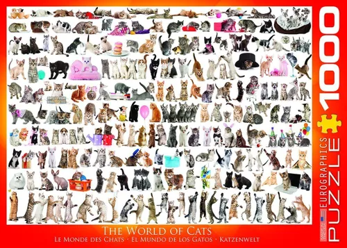 Vista 3 de EuroGraphics Mundo de gatos rompecabezas (1000 piezas) (6000-0580)
