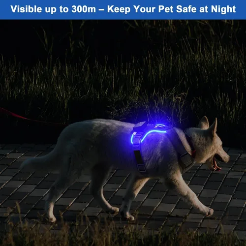 Vista 3 de Light Up Dog Harness, No-Pull Led Dog Harness Rechargeable, Glow in the Dark, LED Dog Vest Reflective, Adjustable & Comfort Padded Lighted Dog