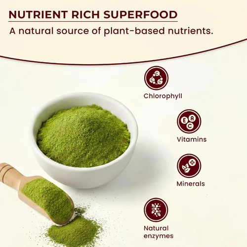 Vista 4 de Wheatgrass - Polvo de 1 libra – Hierba de trigo orgánica USDA de primera calidad, polvo verde molido fino para una mezcla suave, sin OMG, vegano