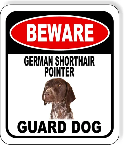 Vista 111 de BEWARE BASSETT HOUND GUARD DOG - Letrero compuesto de aluminio para exteriores, 8.5 x 10 pulgadas CUIDADO BASSETT HOUND GUARD PERRO