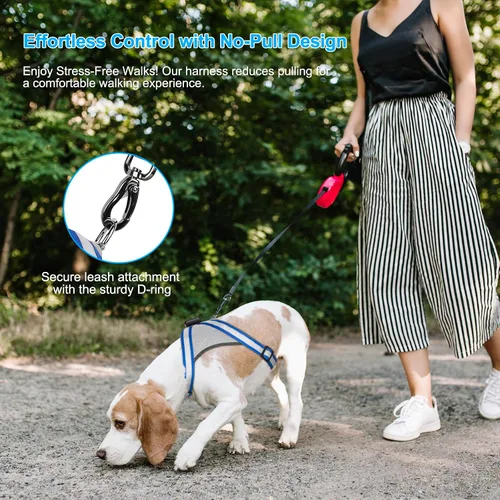 Vista 3 de Visinite Arnés LED para perro, chaleco de perro con luz recargable por USB, 2 modos de iluminación que brillan en la oscuridad, arnés ajustable