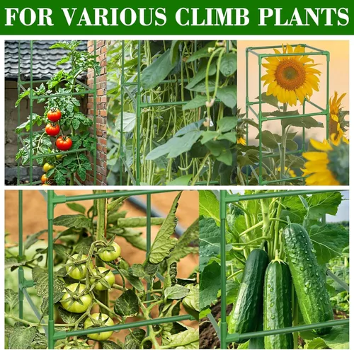 Vista 8 de ZeeDix Paquete de 4 jaulas cuadradas de tomate para jardín con clips de 45 Verde-Paquete de 4