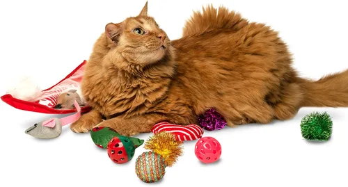 Vista 9 de Midlee Juego de regalo de juguete para gatos con calcetines navideños (14 juguetes) - Bastones de caramelo, campanas, ratones y gatitos