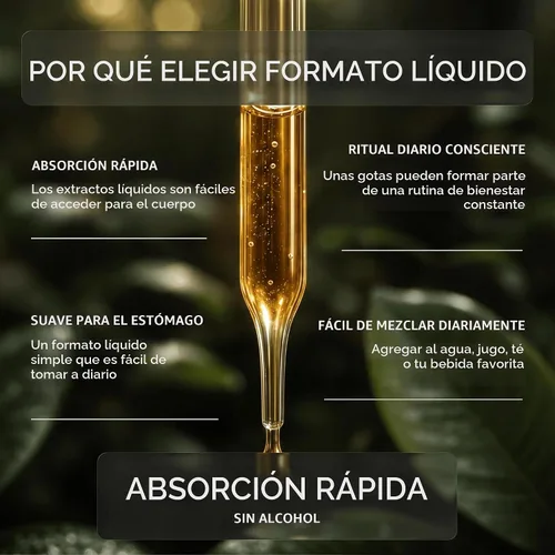 Vista 4 de Secrets of the Tribe Bitter Melon USDA Organic Extracto líquido sin alcohol para apoyo energético y digestivo Momordica Charantia frutos secos