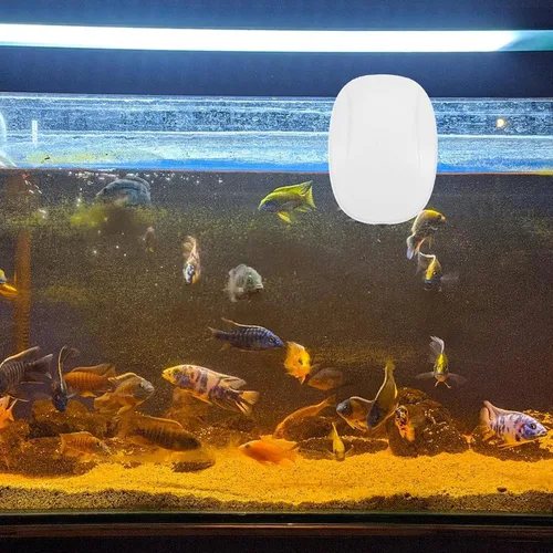 Vista 4 de Bomba de aire para tanque de peces USB, bomba de oxígeno silenciosa portátil para acuarios de plástico para acuarios de agua dulce e hidropónico