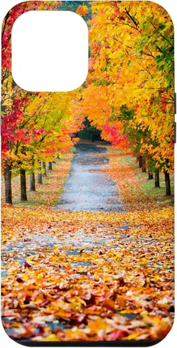 Vista 25 de iPhone 11 Otoño Hojas - Hermoso estuche de arboles