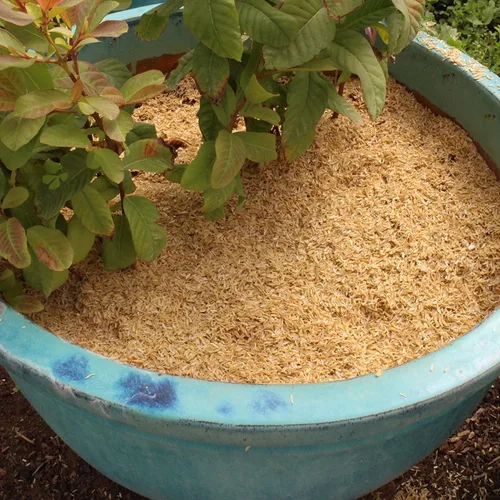 Vista 2 de Gardenera Cascos de arroz orgánico – Mejora la textura del suelo y la retención de nutrientes – Lo mejor para plantas de casa y ropa de cama