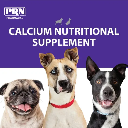Vista 3 de PRN Pharmacal Calsorb - Suplemento nutricional de calcio para ayudar a mantener niveles saludables de calcio en perros - Suplemento nutricional