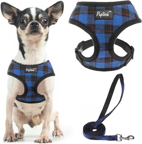 Vista 57 de PUPTECK Juego de arnés y correa de malla suave para perro, cachorro y gato, cómodo chaleco acolchado sin tirones, azul Pascua, S