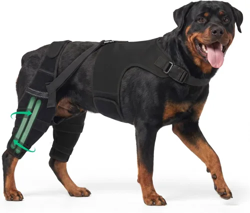 Vista 11 de Rodilleras para perro para soporte de pierna trasera, soporte ACL/CCL