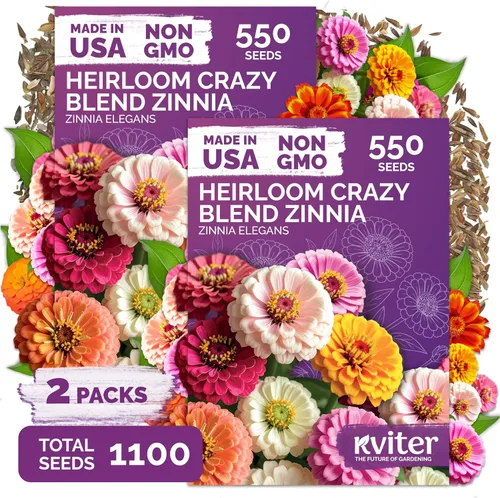 Vista 4 de KVITER Mezcla de 100 semillas de calabaza pequeñas (Cucurbita Pepo), paquete de 2 – Calabazas ornamentales de otoño, sin OGM – Semillas de reliquia