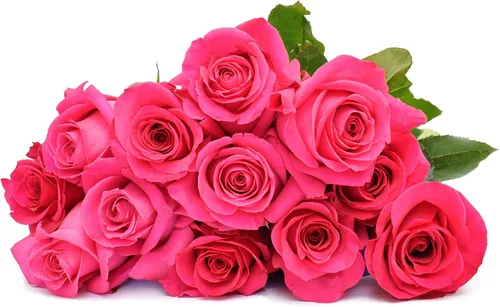 Vista 2 de Greenchoice Flowers - Rosas