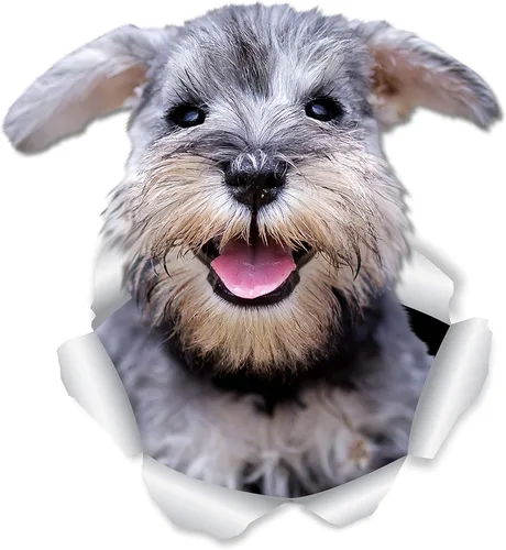 Vista 7 de Winston & Bear Lindas calcomanías de pared Schnauzer - Paquete de 2 calcomanías 3D para inodoro de perro, calcomanía para ventana de coche