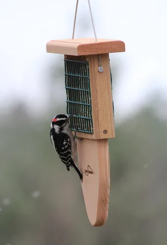 Vista 3 de Kettle Moraine Cedro Single Cake Tail Prop Suet Comedero para pájaros con cable colgante