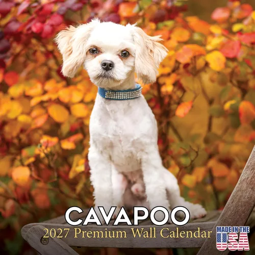 Vista 62 de Calendario de Lebrel Afgano 2025 2026, calendario mensual de pared de raza canina, 12" x 18" abierto, papel grueso sin traspaso, ideal para regalo