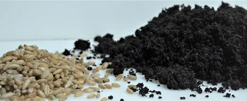 Vista 6 de Bolsa de cultivo de hongos de 6 libras, kit de cultivo todo en uno en una bolsa, desbroce de grano esterilizado y sustrato a granel, puerto