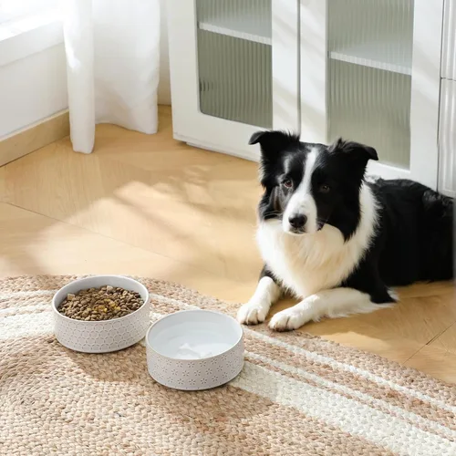Vista 3 de MALACASA - Cuenco de comida de cerámica para perros, plato de agua para razas medianas, 4 tazas