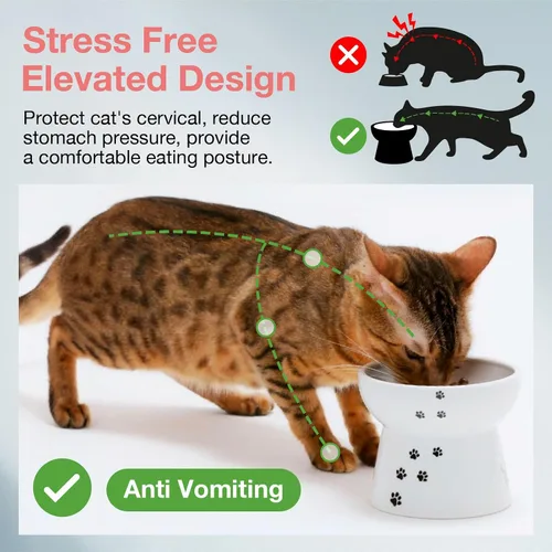 Vista 2 de Necoichi Cuenco elevado de comida para gatos sin estrés, elevado, prevención de reflujo, apto para lavavajillas y microondas, vendedor número 1