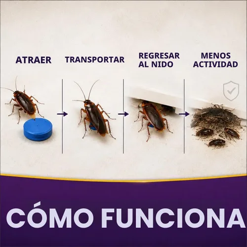 Vista 4 de Repelente Keep Roach Away para interiores, repelente de cucarachas lejos para el hogar, cobertura de 120 pies cuadrados, ingredientes a base