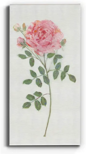 Vista 27 de Renditions Gallery Master Botanical II - Arte de pared, decoración en lienzo de alta calidad con envoltura de galería, listo para colgar, 16