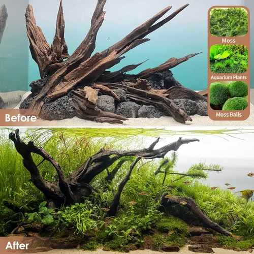 Vista 7 de Jorewood Madera flotante natural grande para acuario para peceras y terrarios de reptiles, decoraciones seguras para peceras, ramas retorcidas
